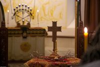 С праздником Входа Господня в Иерусалим, братья и сёстры!