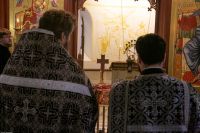 С праздником Входа Господня в Иерусалим, братья и сёстры!