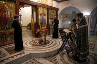 С праздником Входа Господня в Иерусалим, братья и сёстры!