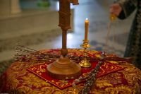 С праздником Входа Господня в Иерусалим, братья и сёстры!