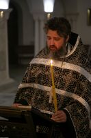 С праздником Входа Господня в Иерусалим, братья и сёстры!