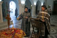 С праздником Входа Господня в Иерусалим, братья и сёстры!