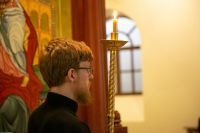 С праздником Входа Господня в Иерусалим, братья и сёстры!