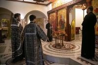 С праздником Входа Господня в Иерусалим, братья и сёстры!