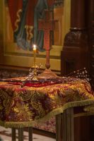 С праздником Входа Господня в Иерусалим, братья и сёстры!