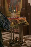 С праздником Входа Господня в Иерусалим, братья и сёстры!