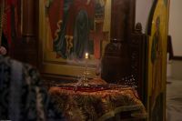 С праздником Входа Господня в Иерусалим, братья и сёстры!