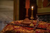 С праздником Входа Господня в Иерусалим, братья и сёстры!