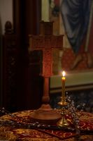 С праздником Входа Господня в Иерусалим, братья и сёстры!