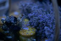 Пасхальное Богослужение