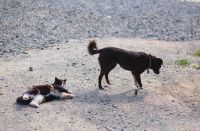 С Вознесением Господним!