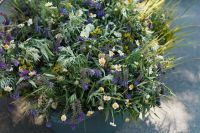 С праздником Святой Троицы!