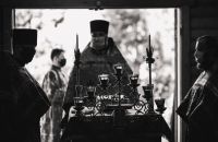 С праздником Святой Троицы!