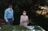 С праздником Святой Троицы!