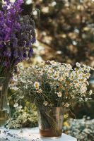 С праздником Святой Троицы!