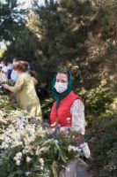 С праздником Святой Троицы!