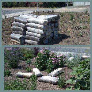 Территория вокруг Воскресенского войскового собора