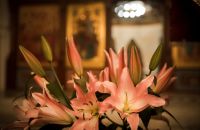 Покров Пресвятой Богородицы