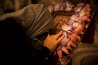 Покров Пресвятой Богородицы