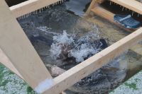 Праздник Богоявления