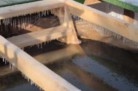 Праздник Богоявления