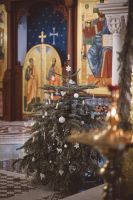 Божественная Литургия в день рождения дорогого настоятеля