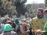 Вербное воскресенье