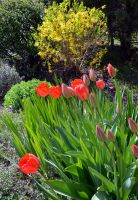 Вербное воскресенье