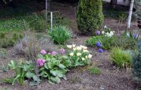 Вербное воскресенье