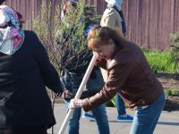 Аллея кинофорума «Детский КиноМай» пополнилась новыми растениями Аллея кинофорума «Детский КиноМай» пополнилась новыми растениями