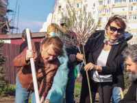 Аллея кинофорума «Детский КиноМай» пополнилась новыми растениями Аллея кинофорума «Детский КиноМай» пополнилась новыми растениями