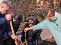 Аллея кинофорума «Детский КиноМай» пополнилась новыми растениями Аллея кинофорума «Детский КиноМай» пополнилась новыми растениями