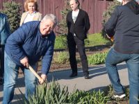 Аллея кинофорума «Детский КиноМай» пополнилась новыми растениями Аллея кинофорума «Детский КиноМай» пополнилась новыми растениями