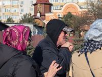 Аллея кинофорума «Детский КиноМай» пополнилась новыми растениями Аллея кинофорума «Детский КиноМай» пополнилась новыми растениями