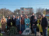 Аллея кинофорума «Детский КиноМай» пополнилась новыми растениями Аллея кинофорума «Детский КиноМай» пополнилась новыми растениями