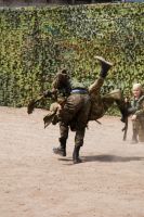 Престольный праздник в честь великомученика Георгия Победоносца