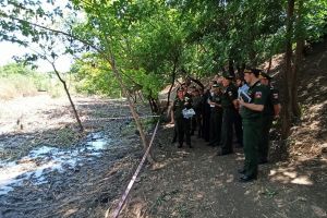 Благоустройство балки Рябинина