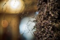 Успение Пресвятой Богородицы в нашем храме!