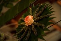 Успение Пресвятой Богородицы в нашем храме!