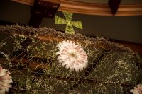 Успение Пресвятой Богородицы в нашем храме!