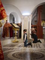 Общее говение западного благочиния