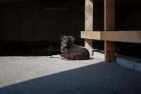 Престольный праздник храма 40 Севастийских мучеников