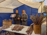 Вход Господень в Иерусалим