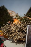 Вход Господень в Иерусалим