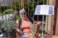 Вход Господень в Иерусалим