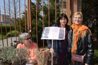 Вход Господень в Иерусалим