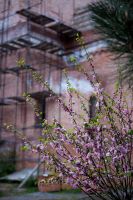 Христос Воскресе!