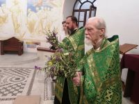 День Святой Троицы