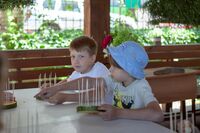 Летние флористические композиции Летние флористические композиции