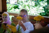 Летние флористические композиции Летние флористические композиции